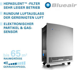 Luftreinigung Blueair 650E